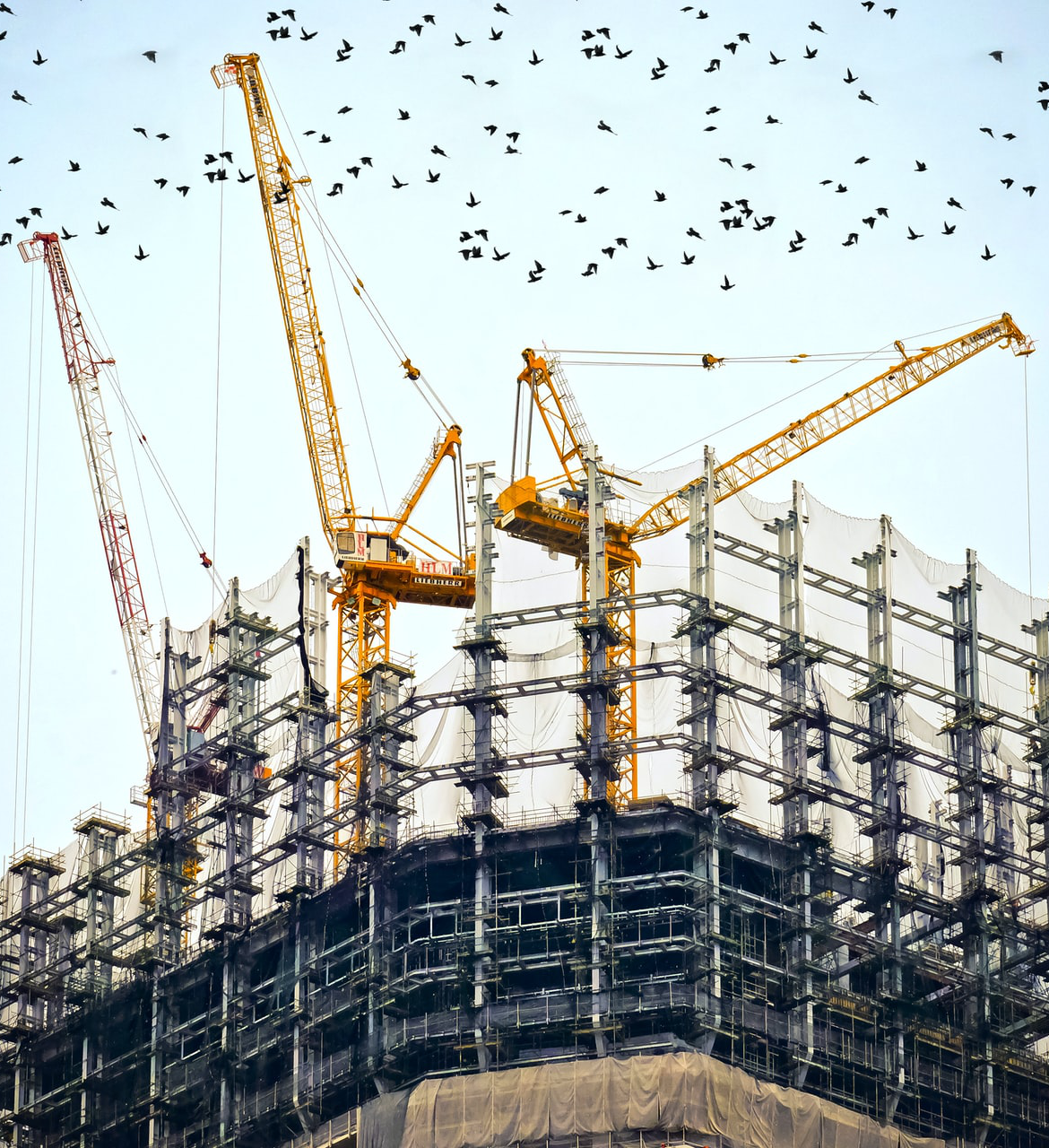 danist-8Gg2Ne_uTcM-unsplash danist-8Gg2Ne_uTcM-unsplash